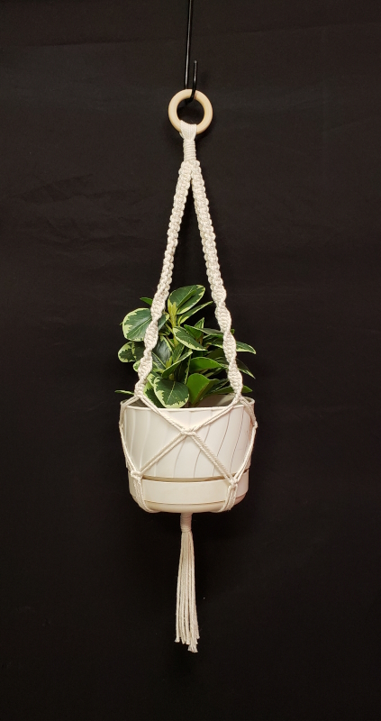 Cream Square Knot w Spiral Cord Plant Hanger