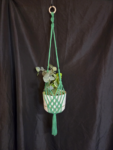 Emerald - Long Double Diamond Plant Hanger