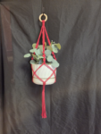 Maroon Square Knot w Spiral Cord Plant Hanger