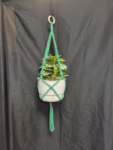 Emerald Square Knot w Spiral Cord Plant Hanger