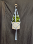 Baby Blue Square Knot w Spiral Cord Plant Hanger