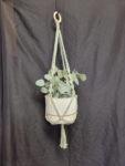 Mint Square Knot w Spiral Cord Plant Hanger
